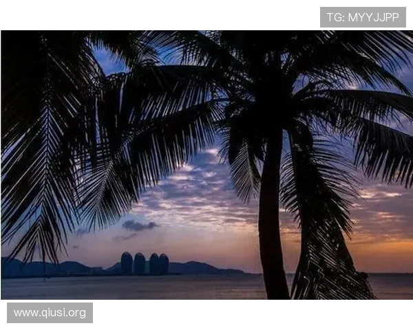 斗球电脑版官方下载途径大全，确保安全稳定下载安装的实用技巧