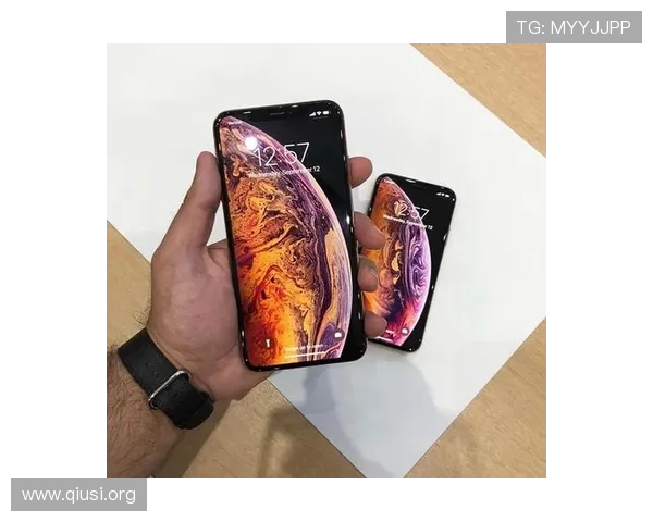 如何在苹果设备上安全下载安装斗球苹果版，避免常见的安装问题与风险